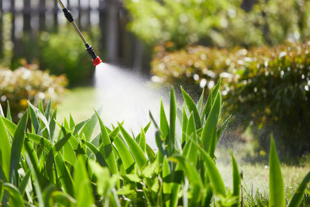 24/7 Emergency Mosquito Control experts in Innovation, VA