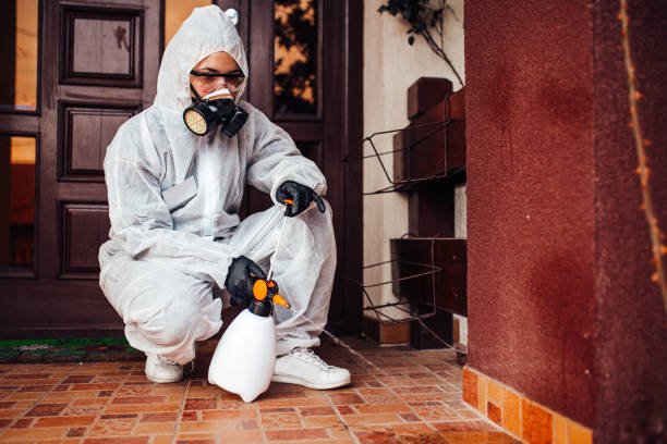 Reliable Mosquito Control contractor in Innovation, VA by Show Me Pest Control